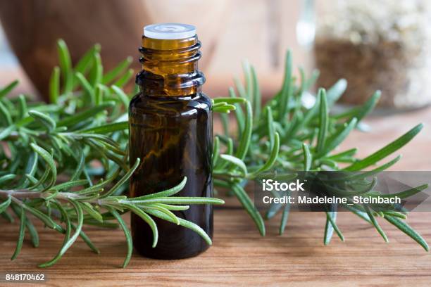 A Bottle Of Rosemary Essential Oil Stock Photo - Download Image Now - Rosemary, Essential Oil, Crude Oil