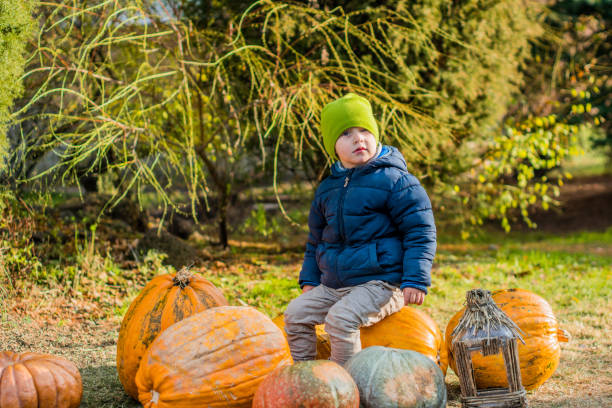 istock Little boy having fun with pumpkins on pumpkin patch on farm 848176798