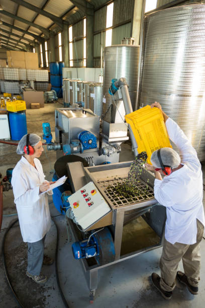 istock Workers working together near production line 848177990