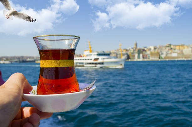 istock Galata Tower and bosphorus river in istanbul city 848178138