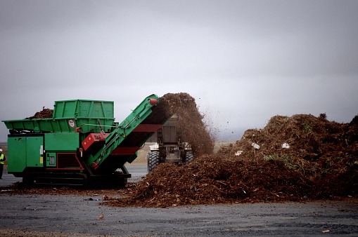 Conveyor processing compost at a landfill from consumer collection program