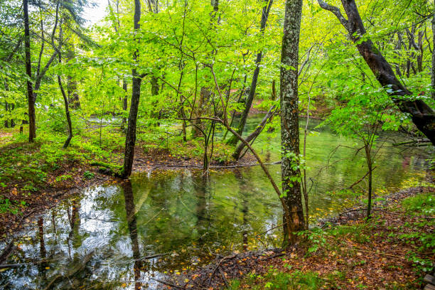 istock A small lake inside forest in autumn time / Plitvice lakes/ Croatia/ Parks 848185864