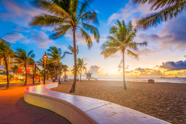 Fort Lauderdale Beach Florida Fort Lauderdale Beach, Florida, USA at dawn. florida stock pictures, royalty-free photos & images