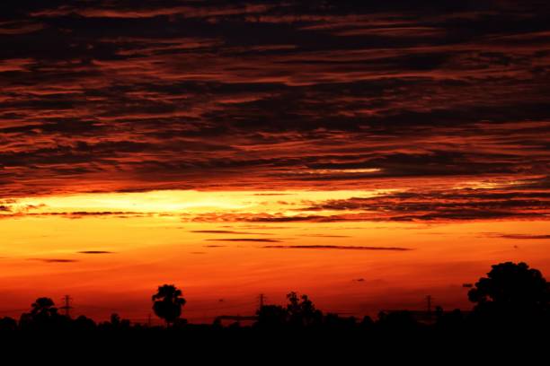 istock silhouette of tree and rice field  in evening before sunset in holiday 848206206