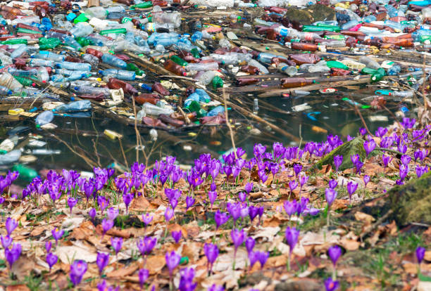 istock Bottles in the reservoir mountain 848209688