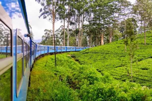 A train goes through tea plantation in Nuwara Eliya district, Sri Lanka. Tea production is one of the main sources of foreign exchange for Sri Lanka (formerly called Ceylon)