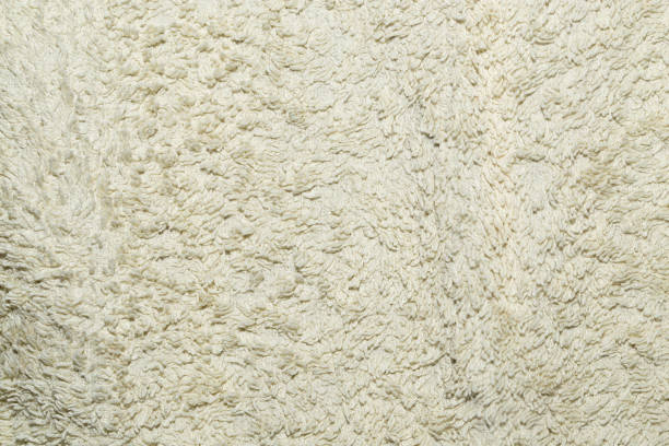 istock background of white cloth 848219860