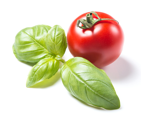 Ripe red cherry tomato and fresh basil leafs isolated on white background