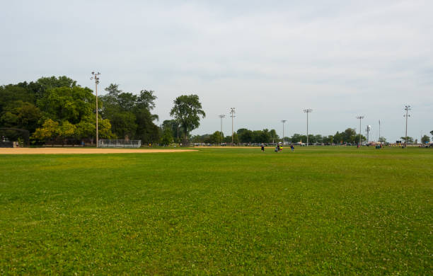 istock Green grass on a field in a Chicago park 848226700
