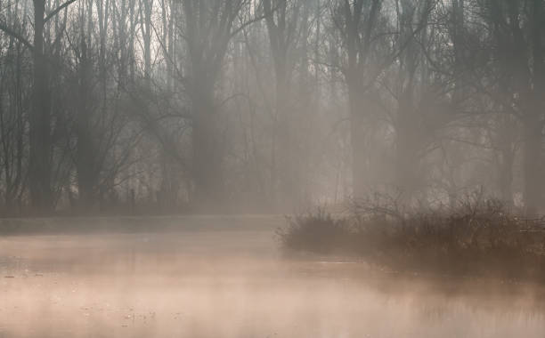 istock morning fog over river 848230714