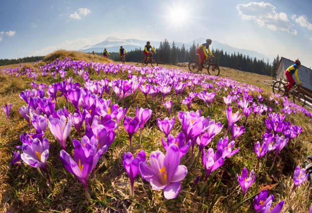 istock racer among  fantastic gentle flowers 848236130