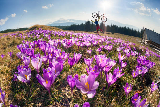 istock racer among  fantastic gentle flowers 848240300