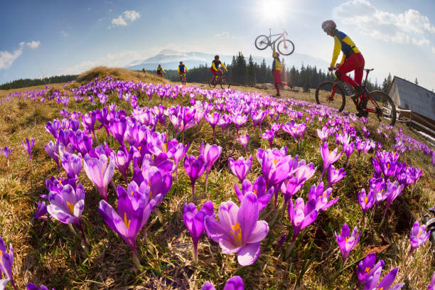 istock racer among  fantastic gentle flowers 848240584