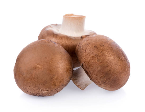istock Mushroom champignon isolated on white background 848245606