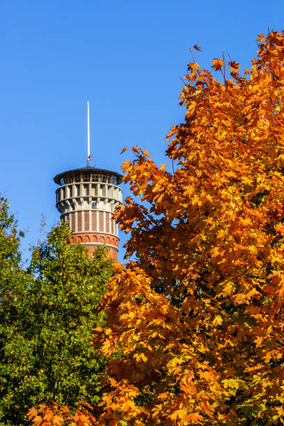 istock Maple tree in the fall and an observation tower in the background 848251520