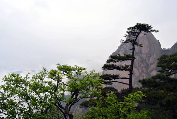 istock Huangshan Yellow Mountains, China 848257034