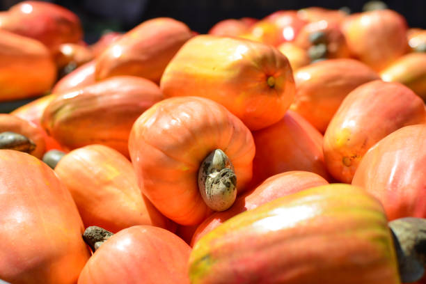 istock Cashew nuts fruits 848261240