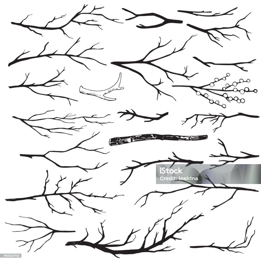 Ensemble de branches bois dessinés à la main - clipart vectoriel de Branche - Partie d'une plante libre de droits