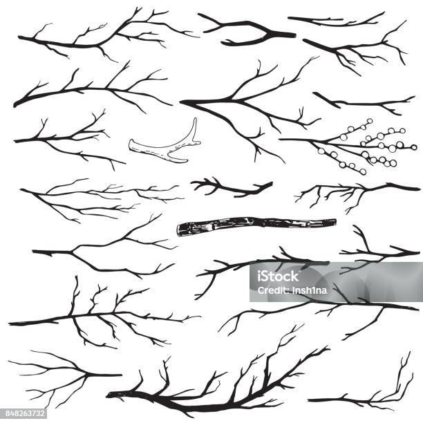 Ensemble De Branches Bois Dessinés À La Main Vecteurs libres de droits et plus d'images vectorielles de Branche - Partie d'une plante - Branche - Partie d'une plante, Arbre, Brindille