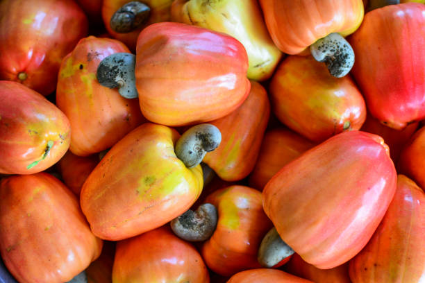 istock Cashew nuts fruits 848263790