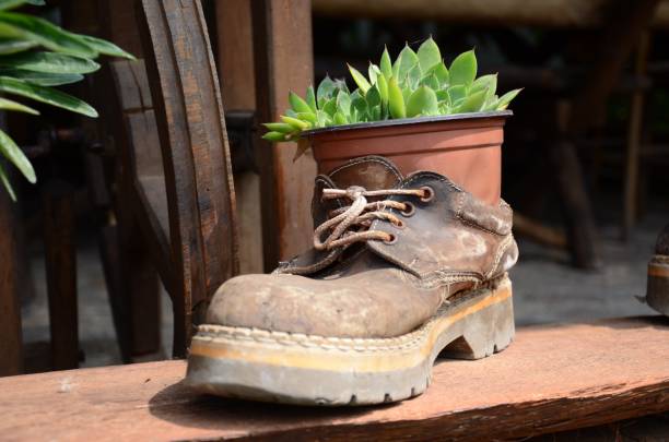 istock Decorates in the yard idea of an old shoe that can be made 848277702