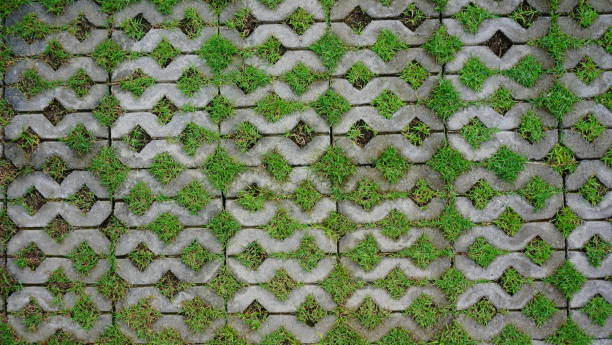 istock Stone block walk path in the park and Grass texture 848278396