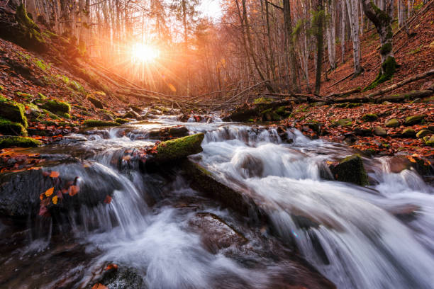 istock Beauty waterfall in autumn forest 848284992