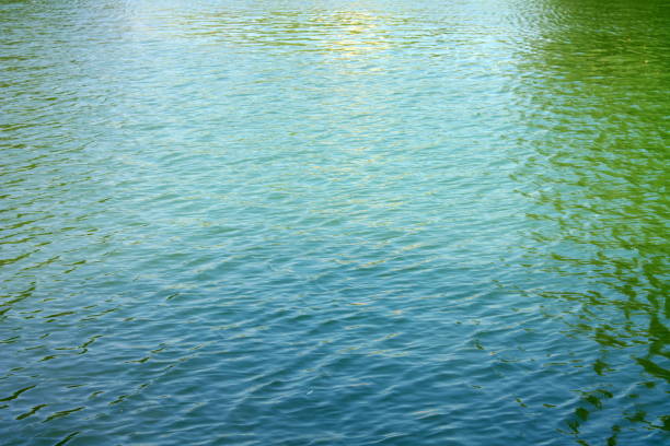ripple on water in city park pond