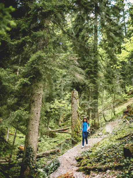 istock Hiker woman going in mountains forest 848297694
