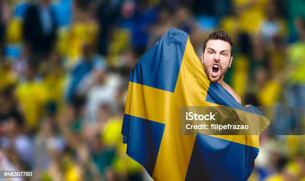 Swedish Fan Celebrating Stock Photo - Download Image Now - Fan - Enthusiast, Soccer, Sweden