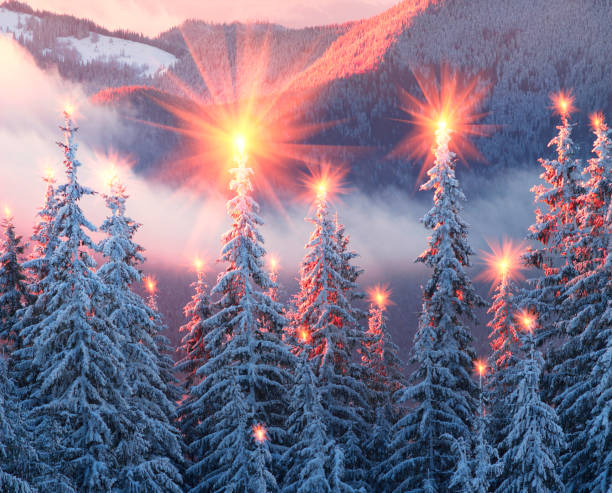 istock frosty sunrise in Carpathians 848307834