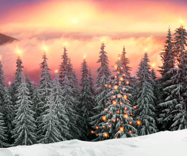 istock frosty sunrise in Carpathians 848308246
