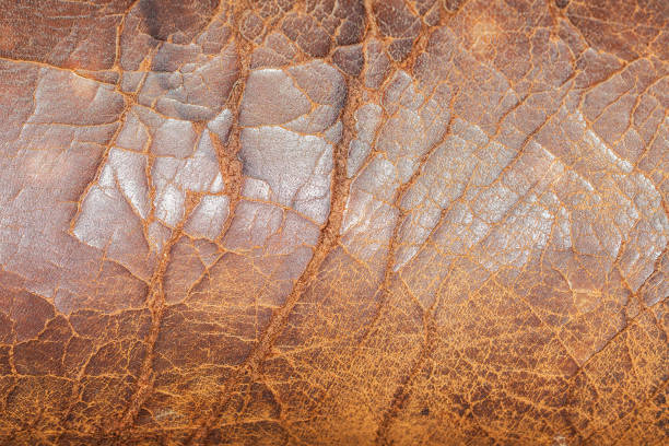 istock Old cracked leather chair texture.jpg 848328084