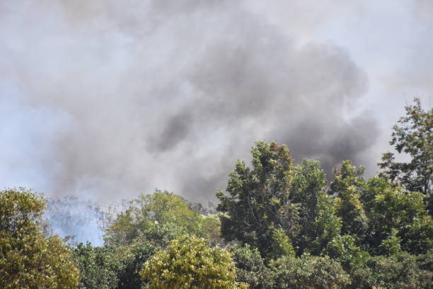 Fire in the field near the city