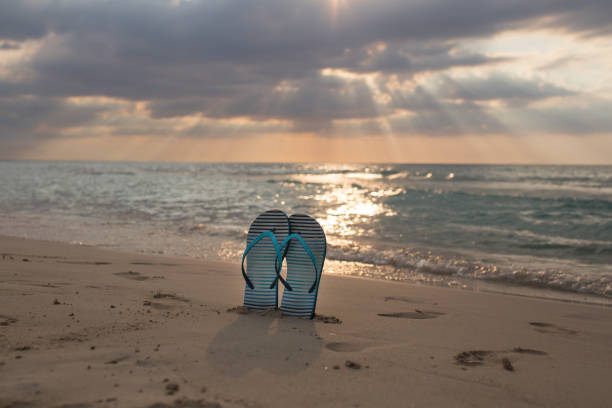 istock beach slippers on the sand at sunset and sea 848332038