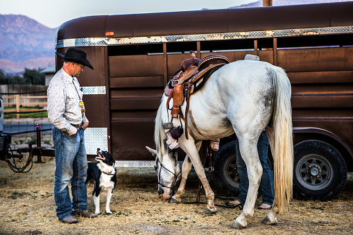 A cowboy speaks to his dog after the rodeo.