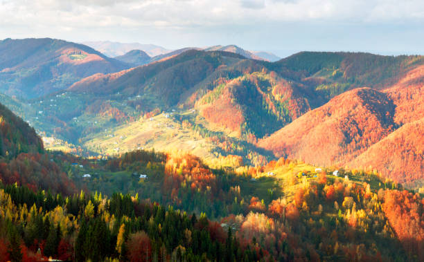 istock Golden Forest Ridge Sokilsky 848341988