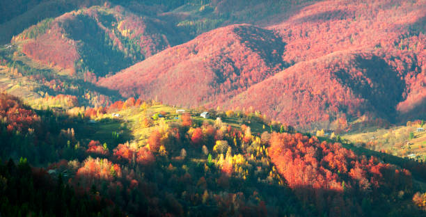 istock Golden Forest Ridge Sokilsky 848342214