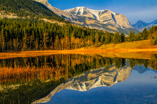 Rockies reflected in Middle Lake. Bow Valley Provincial Park. Alberta, Canada