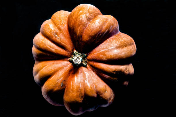 istock Come on, let's do something together for Halloween. 848362792