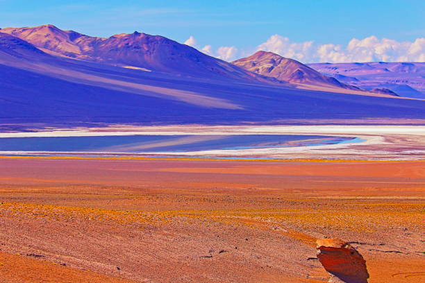 istock Dramatic Salar de Tara lagoon, lake reflection, and rock formations - Idyllic Atacama Desert, Volcanic landscape panorama – San Pedro de Atacama, Chile, Bolívia and Argentina border 848374390