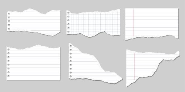 набор векторных иллюстраций разорванных страниц тетрадной бумаги выстроились и квадратные с тенями - lined paper stock illustrations