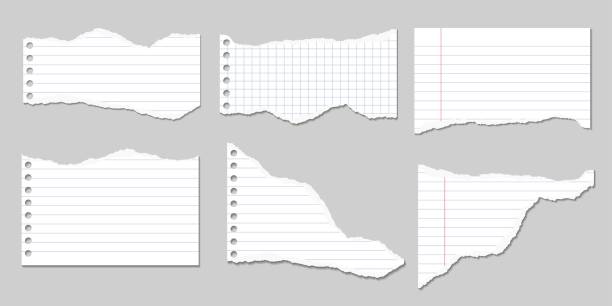 Set of Vector Illustrations of torn pages of notebook paper lined and square with shadows Set of Vector Illustrations of torn pages of notebook paper lined and square with shadows ruled paper stock illustrations