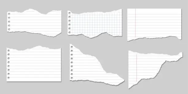 Vector illustration of Set of Vector Illustrations of torn pages of notebook paper lined and square with shadows