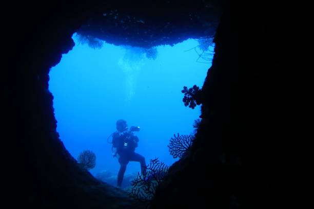 istock Diver photographing in the cave under the ocean floor 848381552
