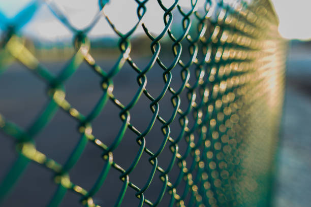 istock fence with metal grid in perspective 848395402