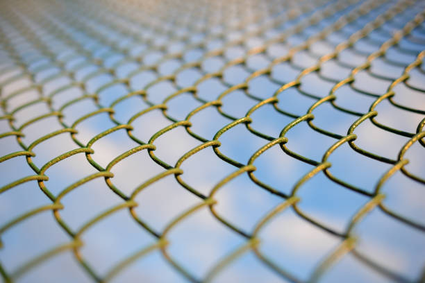 istock fence with metal grid in perspective 848395420