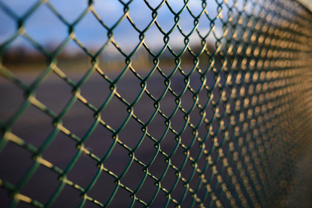 istock fence with metal grid in perspective 848395422