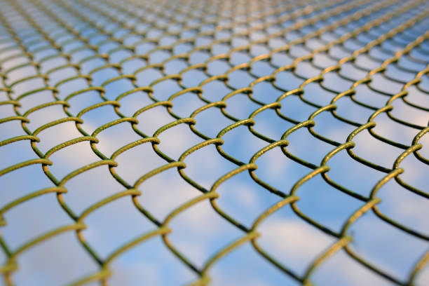 istock fence with metal grid in perspective 848396274