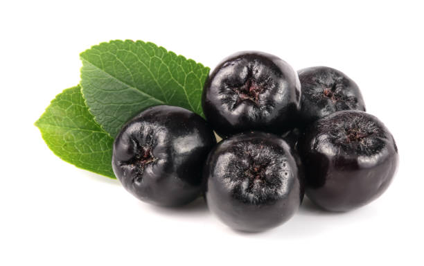 istock Chokeberry with leaf isolated on white background. Black aronia berries 848398318